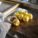 Global Food Industry Trends Shaping What We Eat